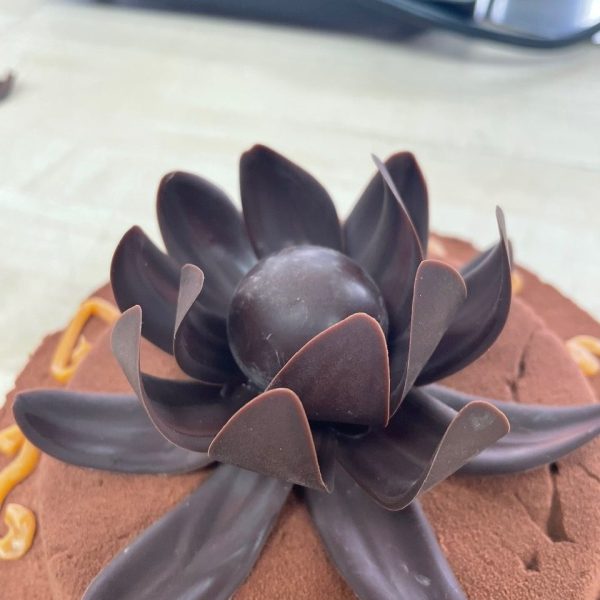 3D510CDA-E333-4314-A572-A0D2C9B90BAB